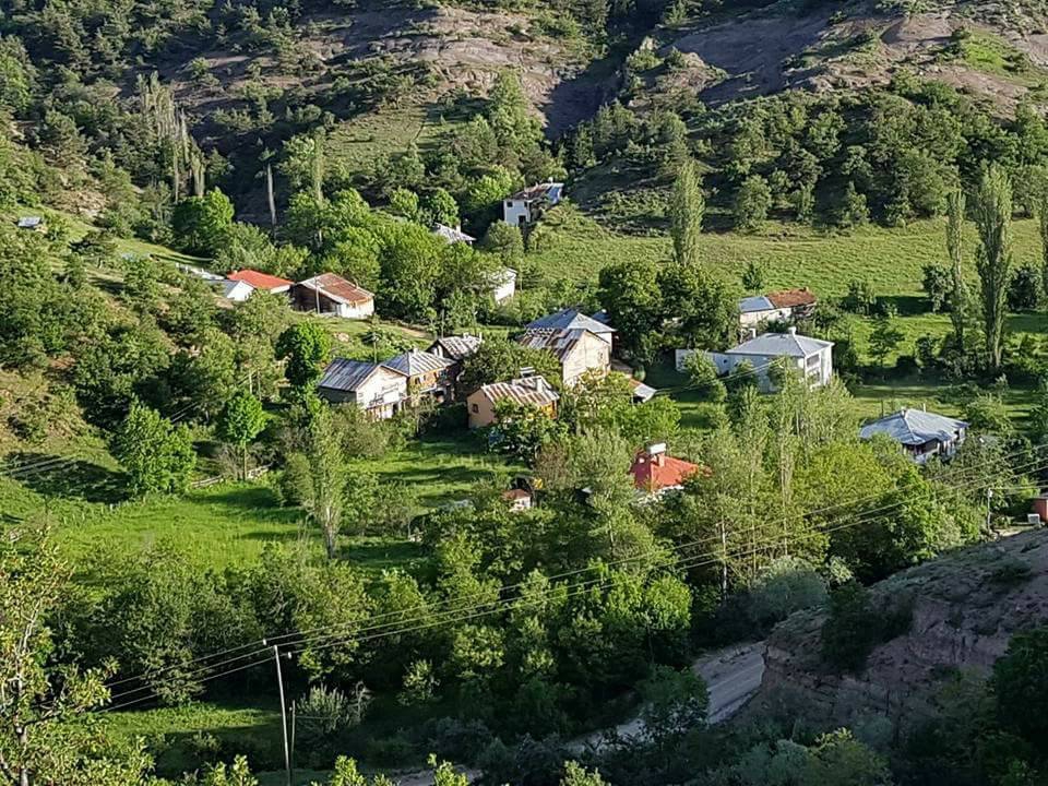 Mesudiye Bayraklı Köyü Resimleri 3