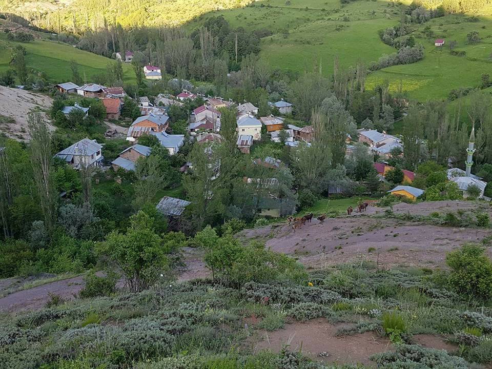 Mesudiye Bayraklı Köyü Resimleri 4