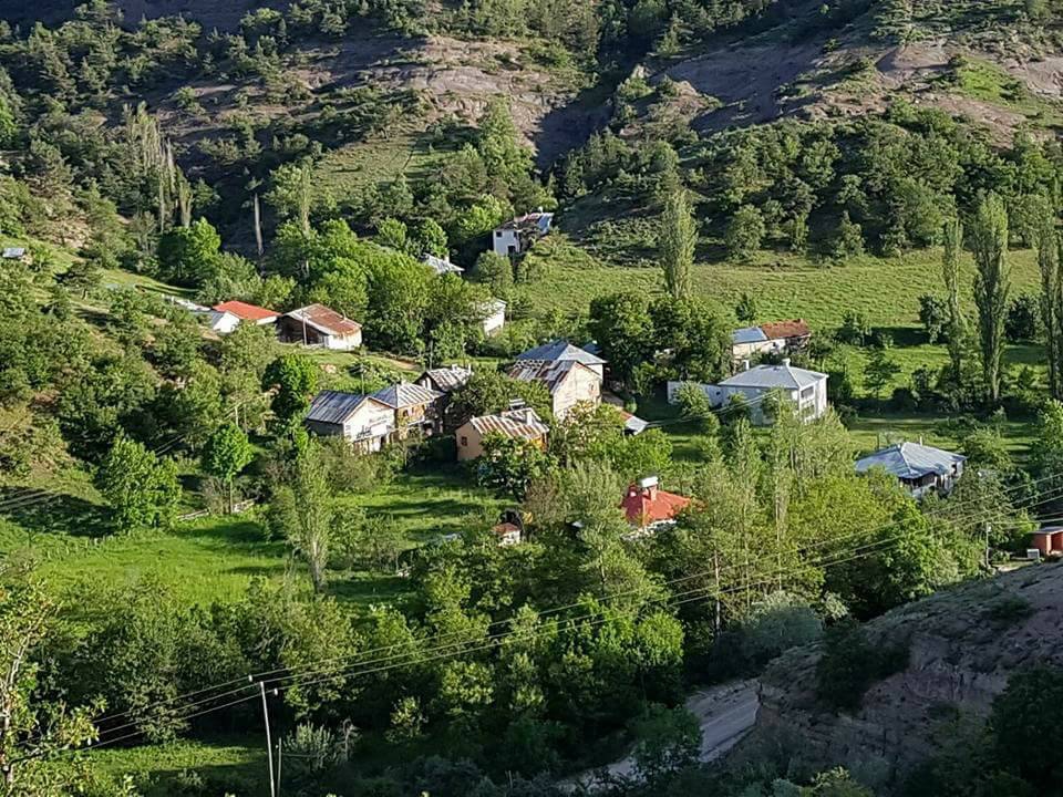 Mesudiye Bayraklı Köyü Resimleri 5