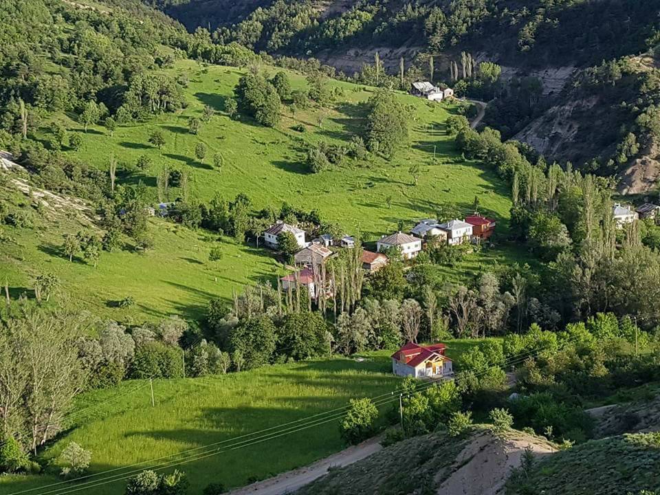 Mesudiye Bayraklı Köyü Resimleri 6