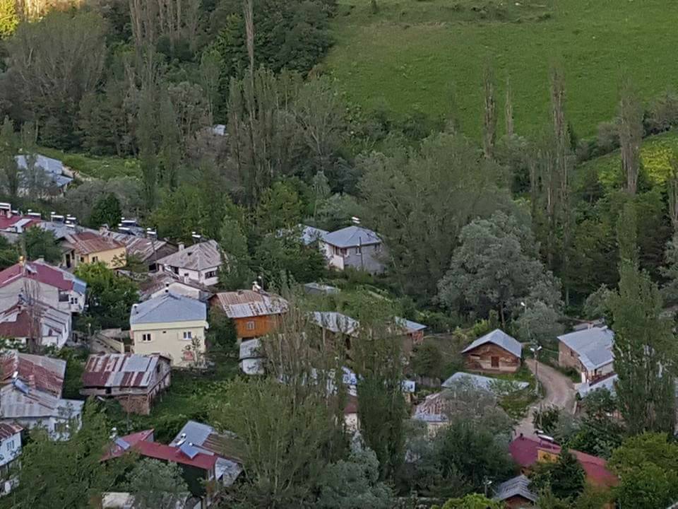 Mesudiye Bayraklı Köyü Resimleri 7