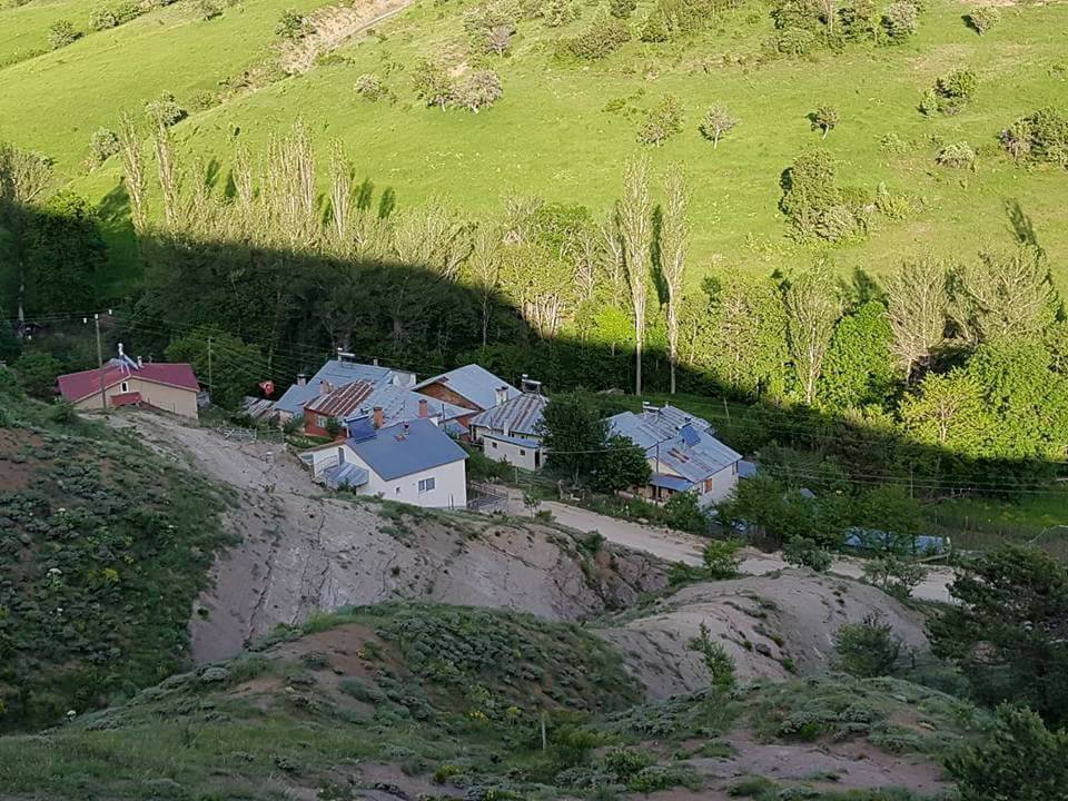 Mesudiye Bayraklı Köyü Resimleri 8