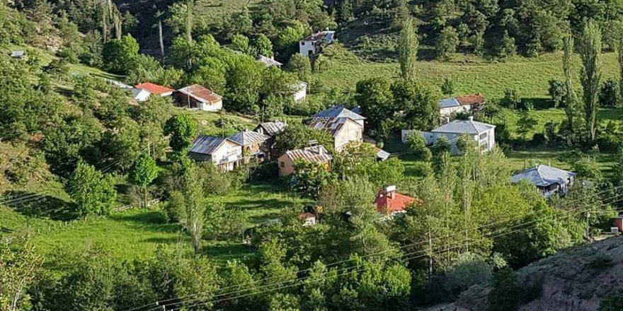 Mesudiye Bayraklı Köyü Resimleri