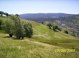 Mesudiye Beşbıyık Köyü Resimleri 2