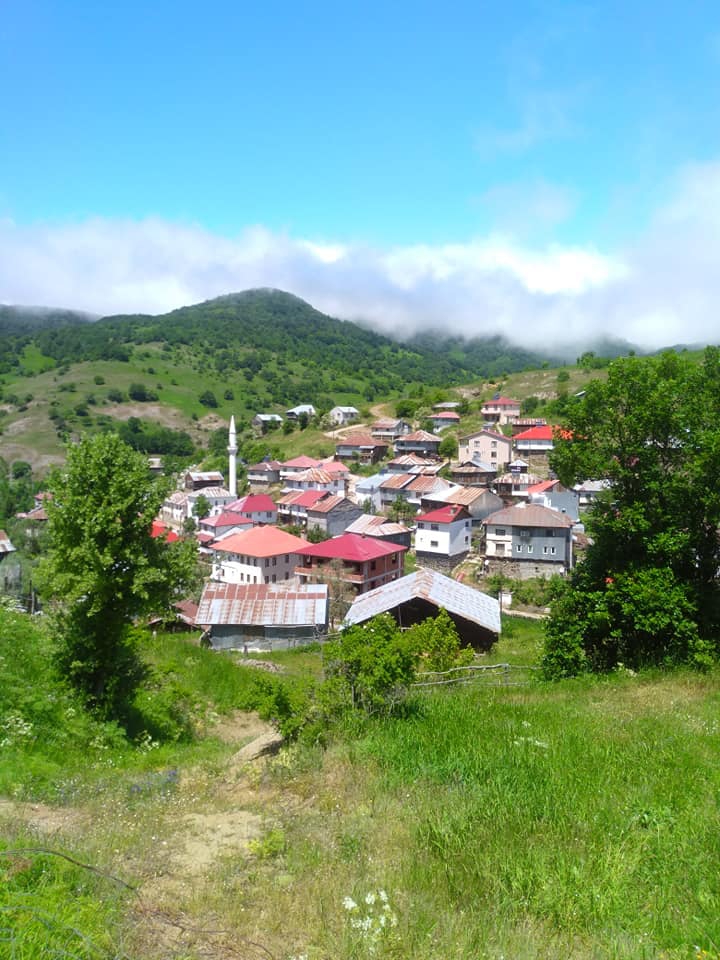 Mesudiye Beyağaç Köyü Resimleri 2