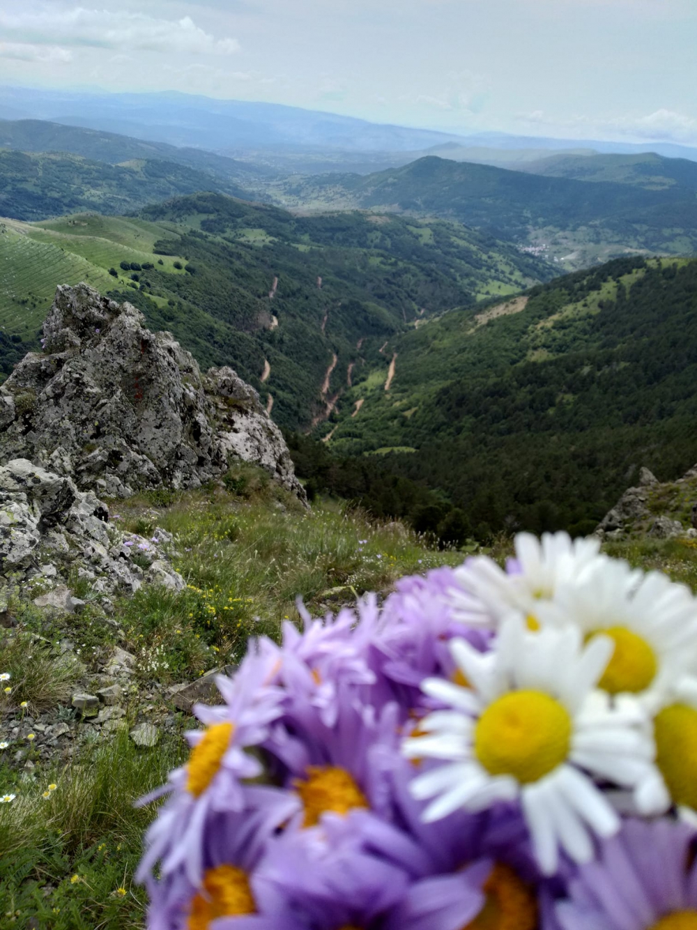 Mesudiye Beyağaç Köyü Resimleri 6