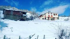 Mesudiye Birebir Köyü Resimleri 1