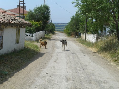 Keşan Çobançeşmesi Köyü Resimleri 5