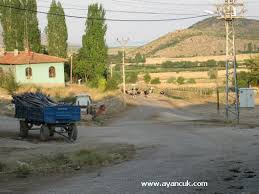 Şakirağaç Belceğiz Köyü Resimleri 2