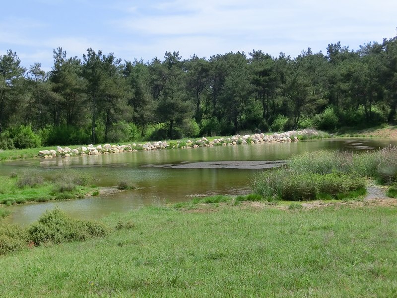 Keşan Dişbudak Köyü Resimleri 10