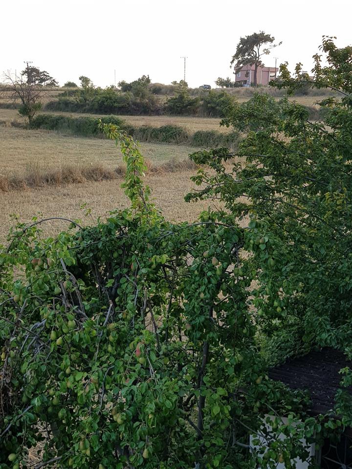 Keşan Gökçetepe Köyü Resimleri 17