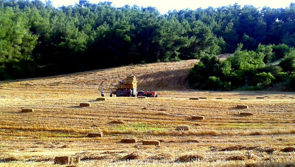 Adana Karaisalı Beydemir Köyü Resimleri 11
