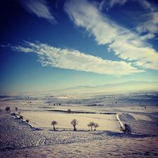 Vezirköprü Oymaağaç Köyü 1