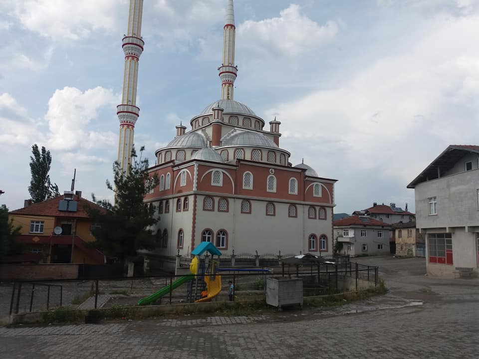 Vezirköprü Oymaağaç Köyü 8