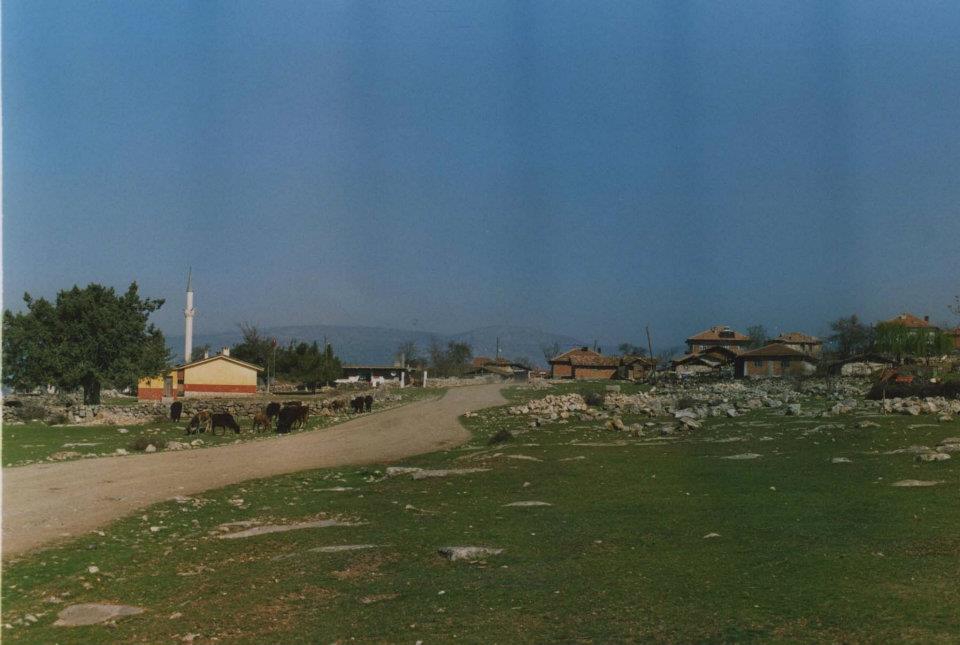 Vezirköprü Örencik Köyü 3