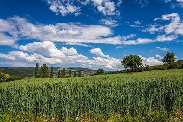 Vezirköprü Örencik Köyü 7