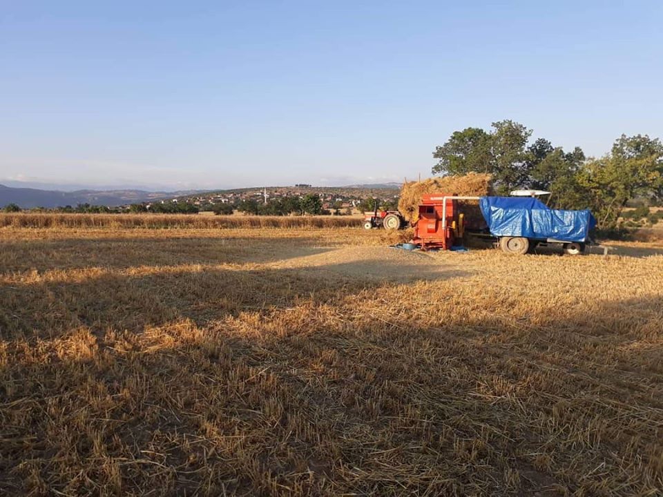 Vezirköprü Örencik Köyü 9