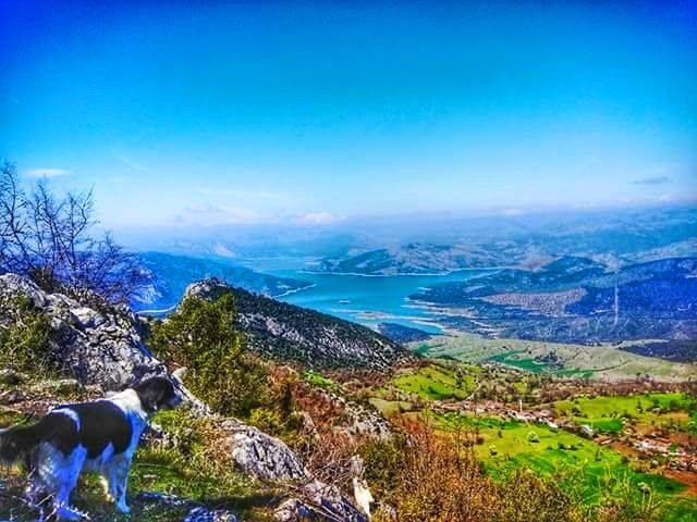 Vezirköprü Özyörük Köyü 8