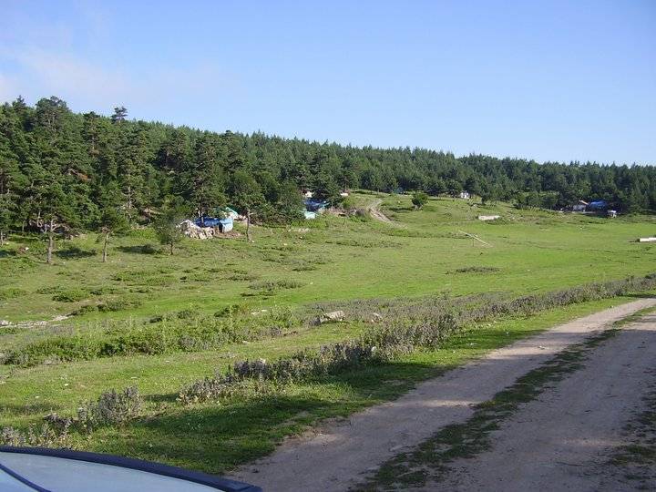 Vezirköprü Paşaköy Köyü 1
