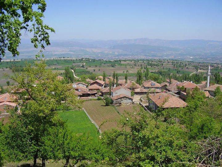 Vezirköprü Paşaköy Köyü 11