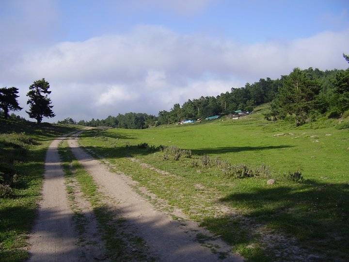 Vezirköprü Paşaköy Köyü 19