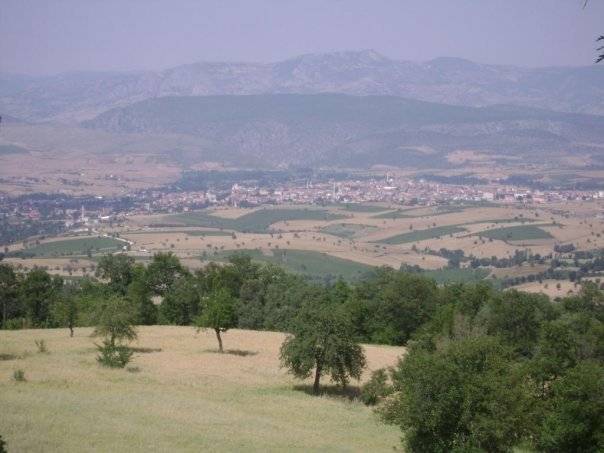 Vezirköprü Paşaköy Köyü 6