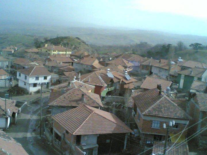 Vezirköprü Paşaköy Köyü 8