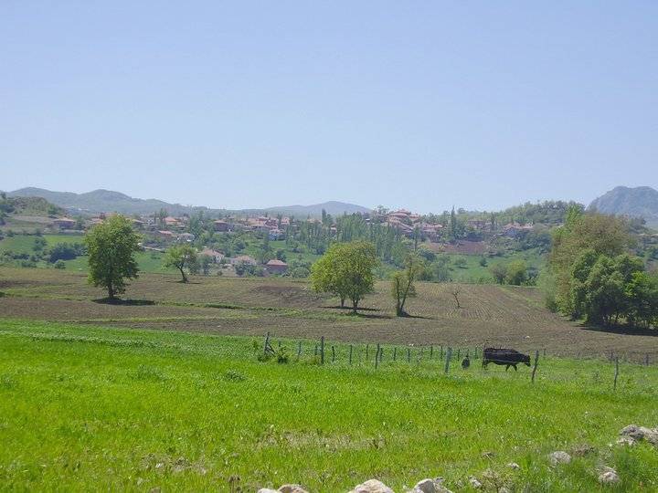 Vezirköprü Paşaköy Köyü 9