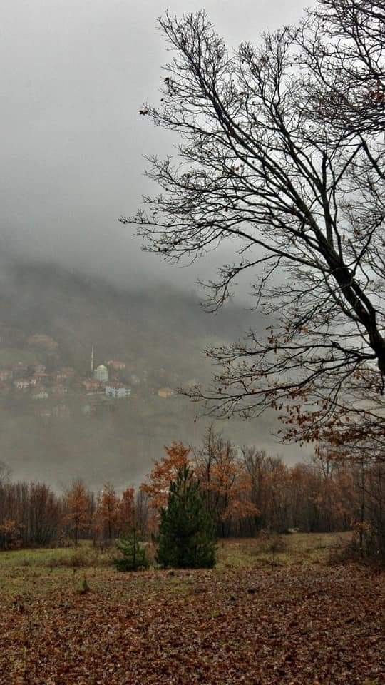 Vezirköprü Pazarcı Köyü 4