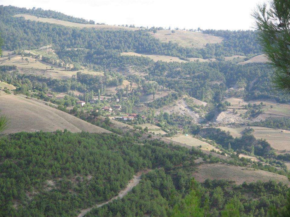 Vezirköprü Pazarcı Köyü 6