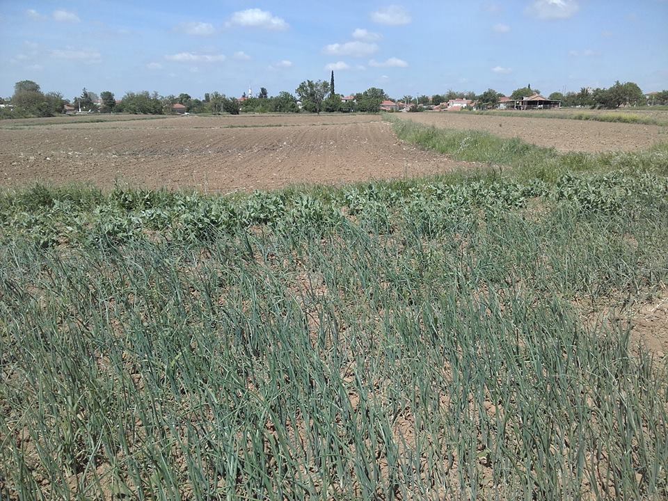 Keşan İzzetiye Köyü Resimleri 12