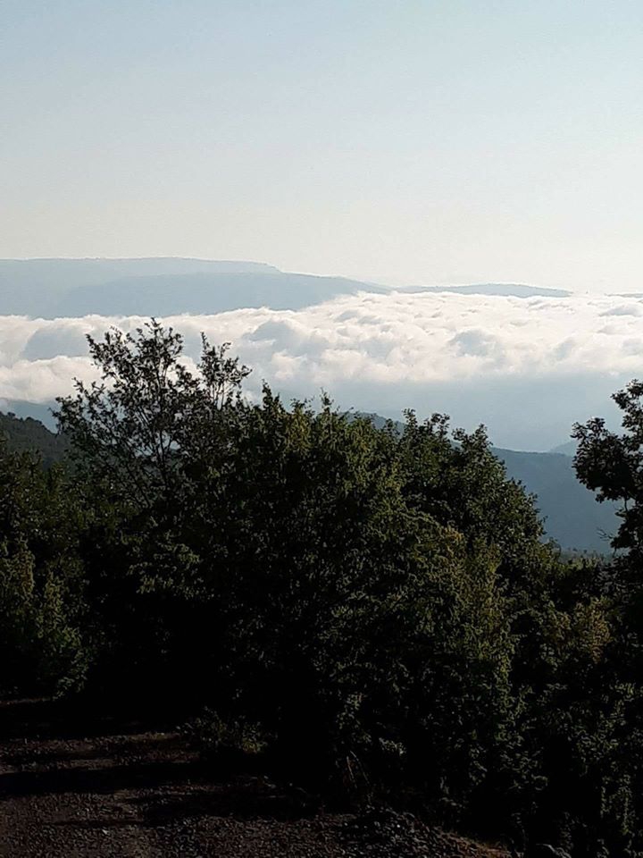 Vezirköprü Samur  Köyü 3