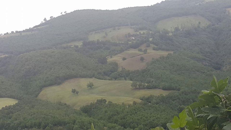 Vezirköprü Sarıalan  Köyü 1