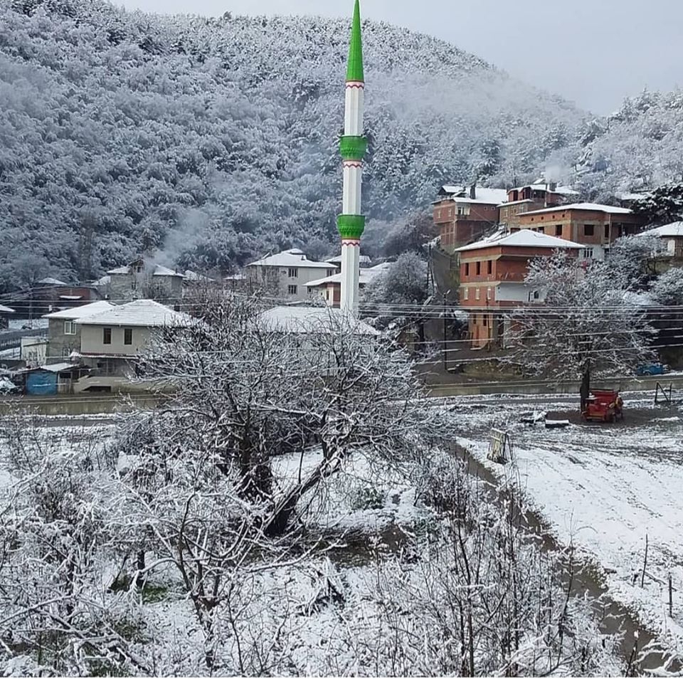 Vezirköprü Sarıalan  Köyü 4