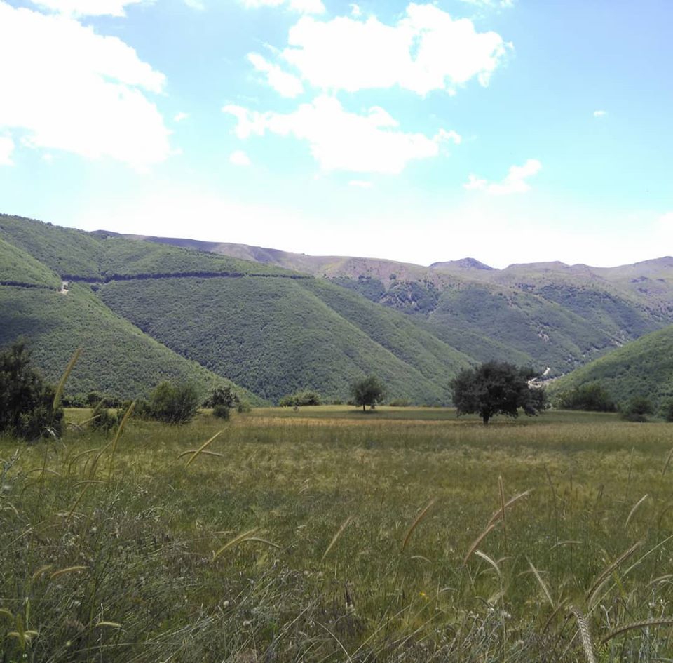 Vezirköprü Şentepe  Köyü 4