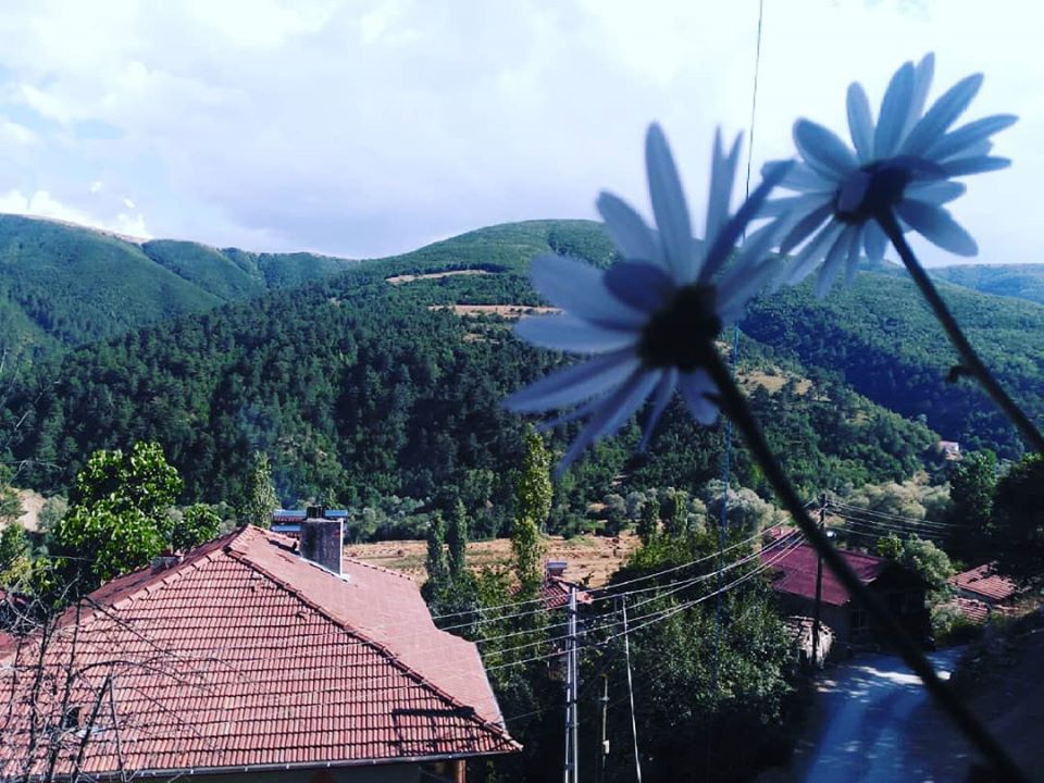 Vezirköprü Şentepe  Köyü 6