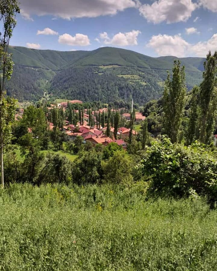 Vezirköprü Şentepe  Köyü 7