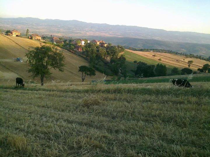 Vezirköprü Türkmen Köyü 1