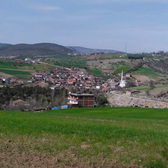 Vezirköprü Türkmen Köyü 3