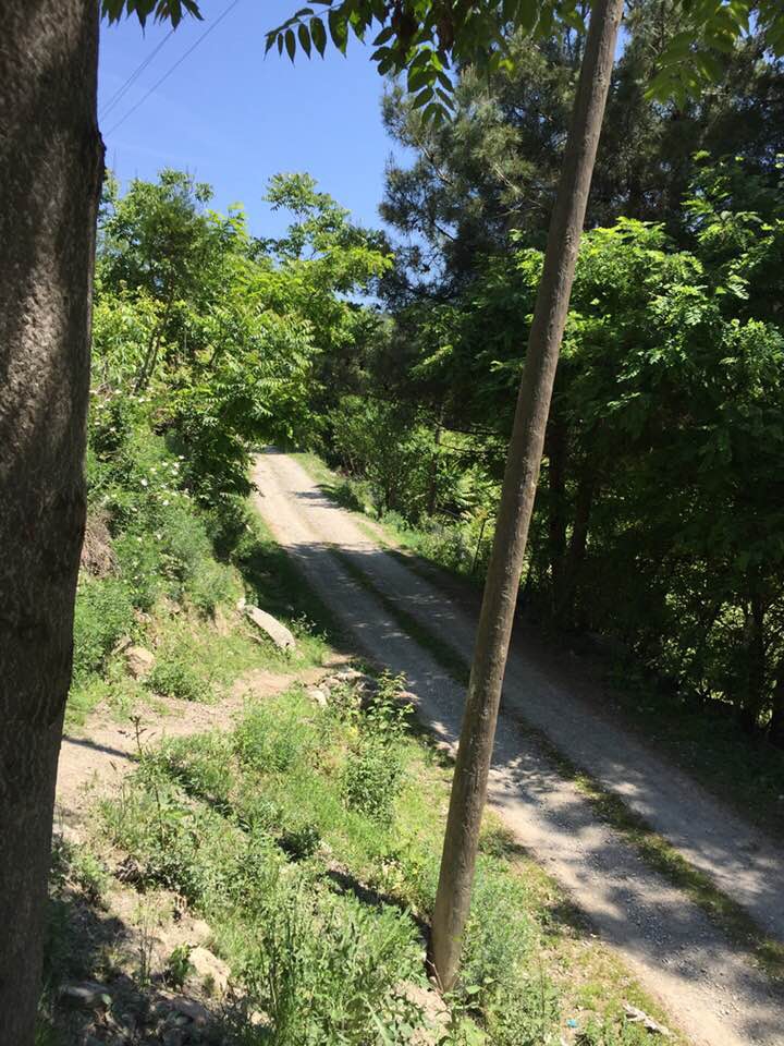 Vezirköprü Türkmen Köyü 9