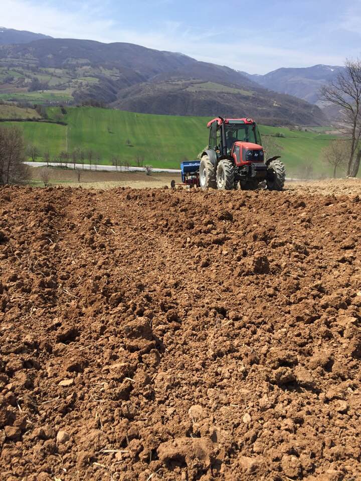 Vezirköprü Yeniçelik Köyü 9