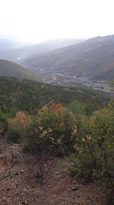 Vezirköprü Yenidüzce Köyü 6