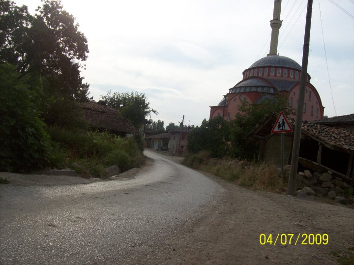 Vezirköprü Yukarınarlı Köyü 1