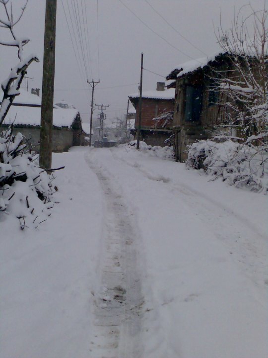 Vezirköprü Yukarınarlı Köyü 3