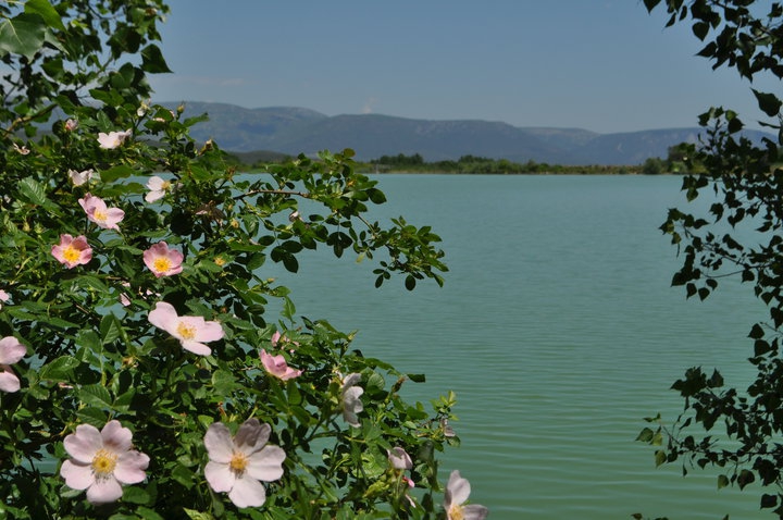 Vezirköprü Yukarınarlı Köyü 6