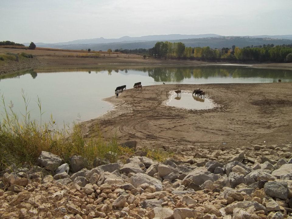 Vezirköprü Yukarınarlı Köyü 7