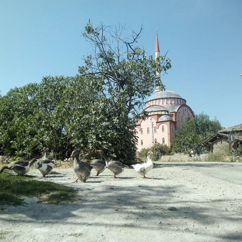 Vezirköprü Yukarınarlı Köyü 9