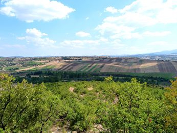 Vezirköprü Yürükçal Köyü 1