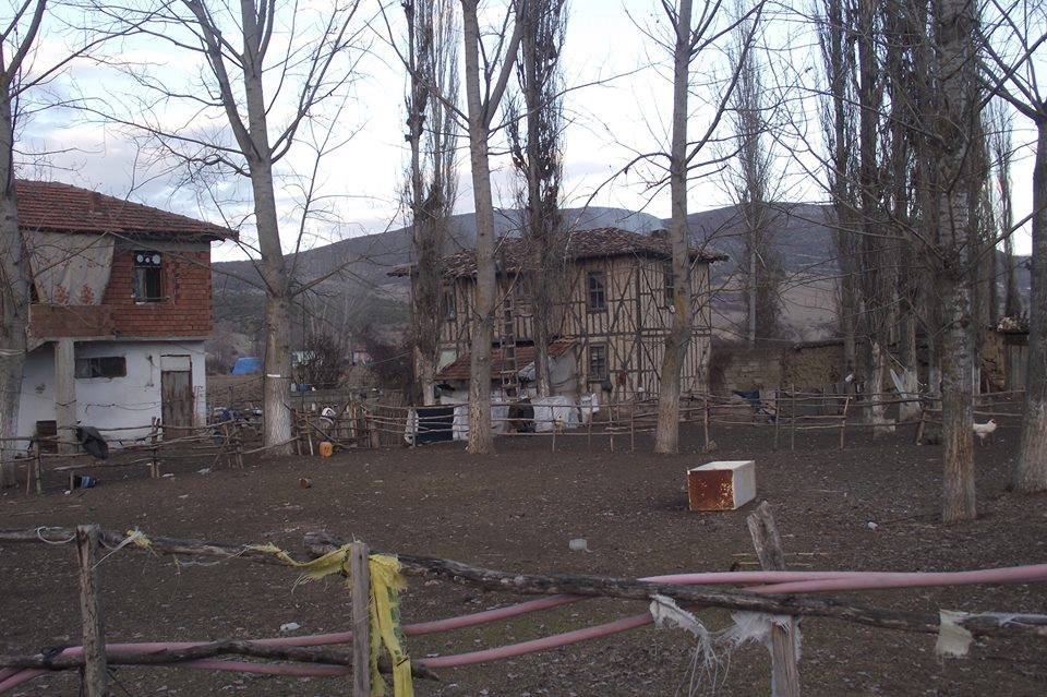 Vezirköprü Yürükçal Köyü 2