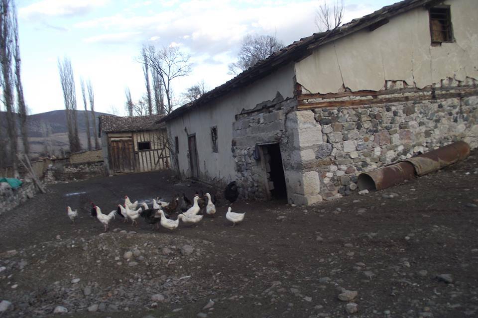 Vezirköprü Yürükçal Köyü 3